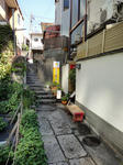 DSC01538.JPG