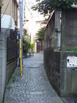 DSC01544.JPG