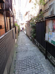 DSC01545.JPG