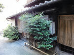 DSC01547.JPG