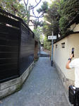 DSC01549.JPG