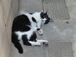 DSC01554.JPG