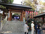 DSC01589.JPG