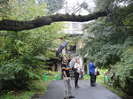DSC01599.JPG