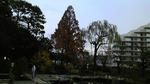 121129_161638.jpg