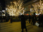 DSC01733.JPG