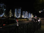 DSC01735.JPG
