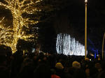 DSC01737.JPG