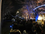DSC01739.JPG