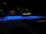 DSC01749.JPG