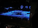 DSC01756.JPG