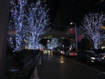 DSC01780.JPG