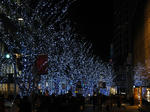 DSC01782.JPG
