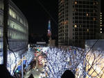 DSC01783.JPG