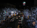DSC01786.JPG