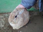 DSC01925.JPG