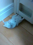 mini_130427_1047.JPG