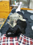 111121_194045.jpg