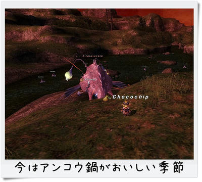 20120101_アンコウNM