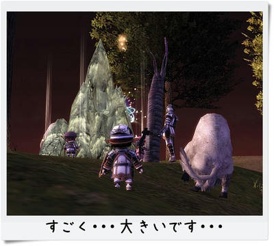 20120101_ミミズNM