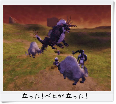 20120101_ベヒNM