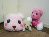 20090601_02.jpg