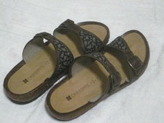 20090826_02.jpg