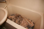 20090831_01.jpg