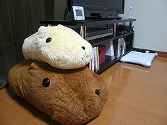 20100208_01.jpg