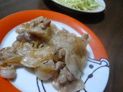 20100213_02.jpg