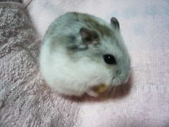 20100216_02.JPG