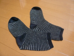 20100307_01.JPG