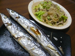 20100307_03.JPG