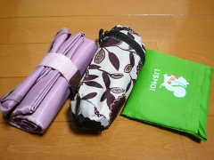 20100307_05.JPG