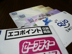 20100307_07.JPG