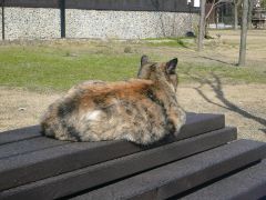 20100322_05.jpg