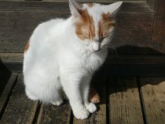 20100322_06.jpg