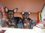 PICT0073.JPG