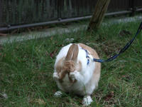 DSCF0973400.jpg