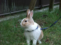DSCF0971400.jpg