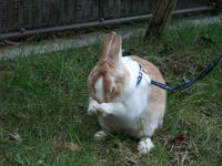 DSCF0972400.jpg