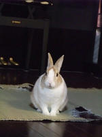 DSCF1319400.jpg