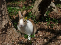 DSCF1434400.jpg