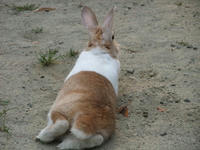 DSCF2259400.jpg