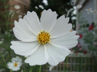 DSCF2249400.jpg