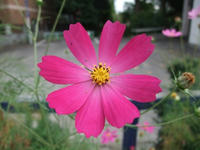 DSCF2252400.jpg