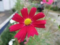 DSCF2254400.jpg