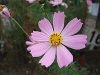 DSCF2250400.jpg