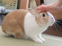 DSCF2306400.jpg