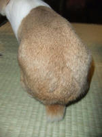 DSCF2312400.jpg